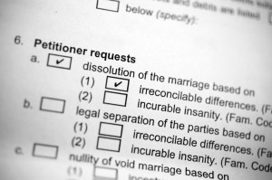 Divorce Petitioner Requests Document